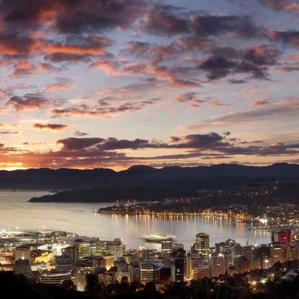 Wellington in Style
